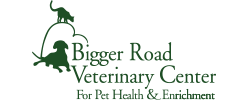 Bigger Road Home