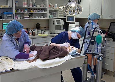 Dental Care