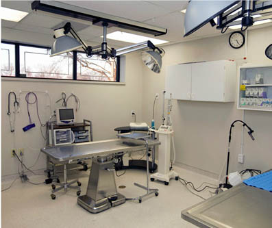 surgery area