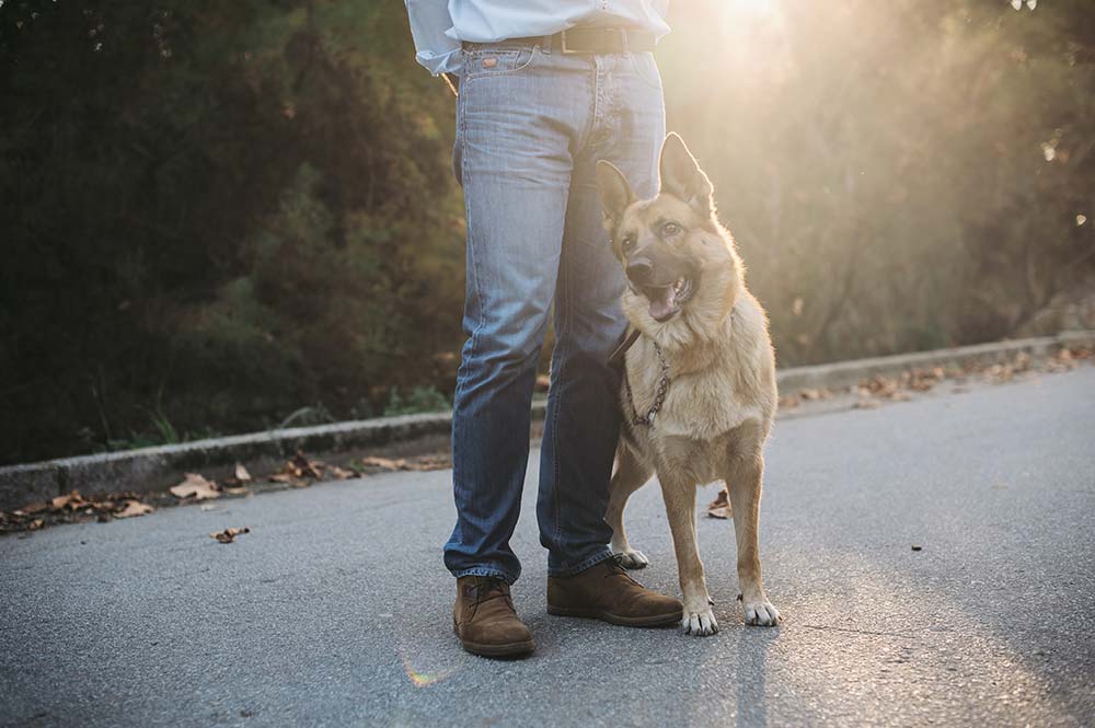 service-dog-training service-dog-training