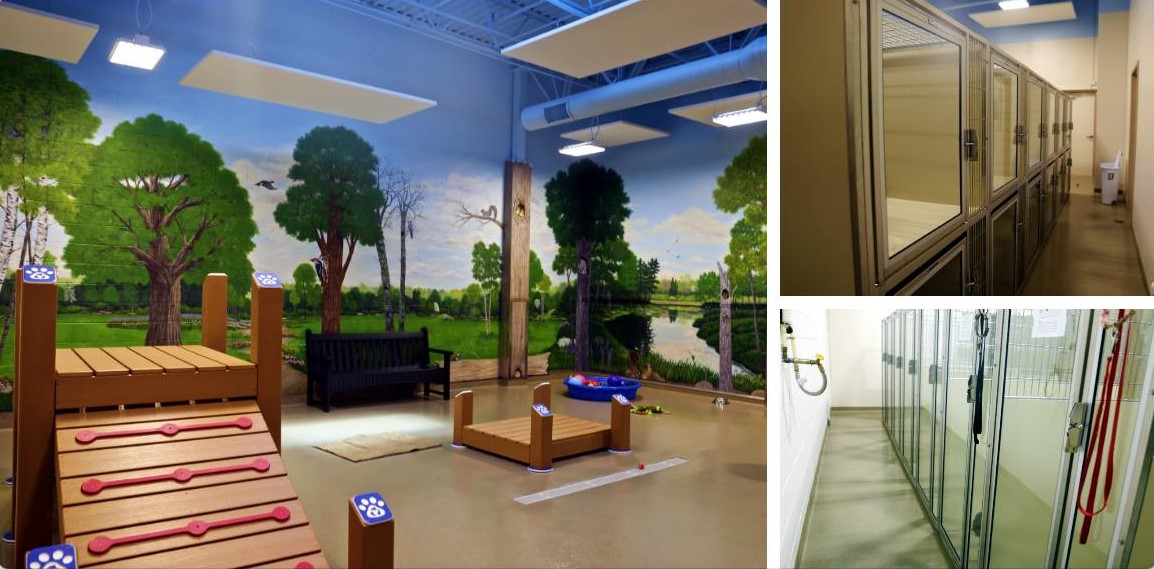 Hospital Tour Bigger Road Veterinary Center Springboro in Kettering