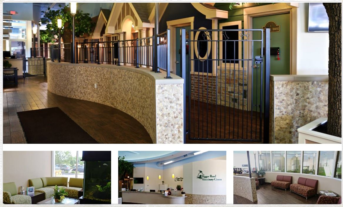 Hospital Tour Bigger Road Veterinary Center Springboro in Kettering